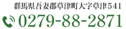 群馬県吾妻郡草津町大字草津541 TEL:0279-88-2871